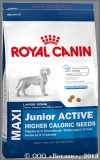        2  15      (Royal Canin Maxi Junior Active), . 1 