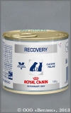 Роял Канин Диета для кошек и собак в период выздоровления (Veterinary Diet Recovery), банка 195 г