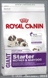 Роял Канин для щенков очень крупных пород до 2 месяцев, беременных и кормящих сук (Royal Canin Giant Starter), уп. 4 кг