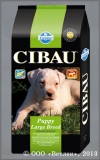    (Cibau Puppy Large Breed)       , . 3 