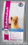       , (Eukanuba Yorkshire Terrier), . 1 