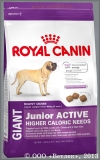 Роял Канин для щенков очень крупных пород от 8 до 18 месяцев с высокими энергетическими потребностями (Royal Canin Giant Junior Active), уп. 15 кг