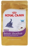        (Kitten British Shorthair 541004), . 400 