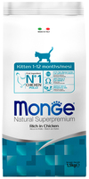    ,     (Monge Kitten)  , . 1,5