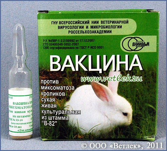 Вакцина ВМБК против миксоматоза кроликов сухая живая культуральная из .