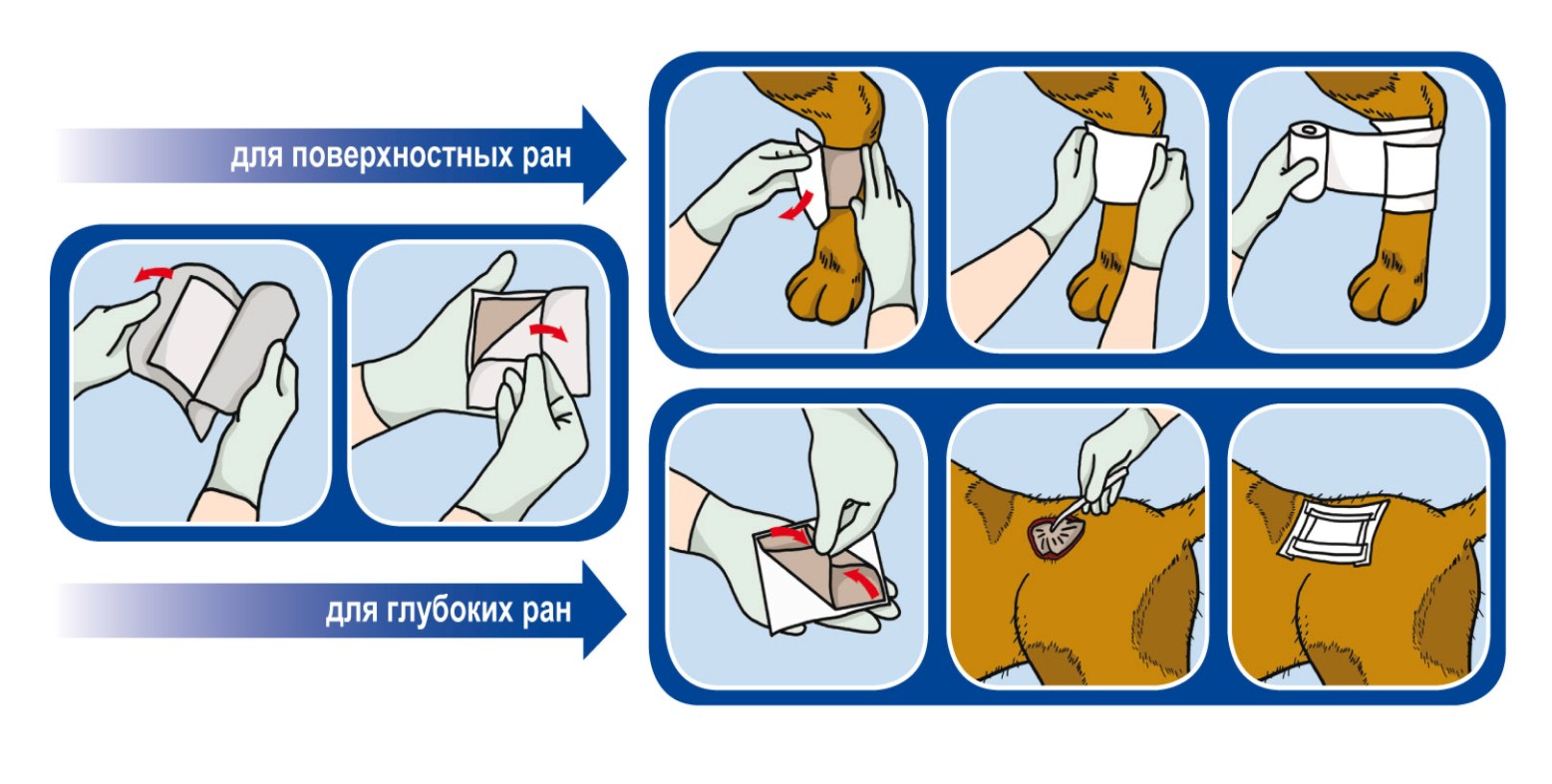 Вишневского на открытую рану