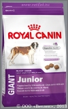 Роял Канин для щенков очень крупных пород от 8 до 18 месяцев (Royal Canin Giant Junior), уп. 4 кг