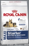        2 ,     (Royal Canin Maxi Starter 191040), . 4 