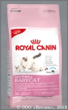      1  4  (Royal Canin Mother & Babycat 34), . 4 