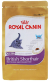        (Kitten British Shorthair 541020), . 2 