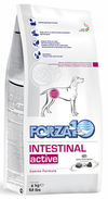 Ветеринарная диета для взрослых собак при проблемах пищеварения (Intestinal Active), уп. 4 кг