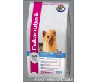       , (Eukanuba Yorkshire Terrier), . 1 