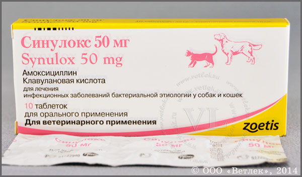 Синулокс таблетки, уп. 10 таб. по 50 мг (срок годности 02.2024) купить в  ветеринарном интернет-магазине Ветлек, купить в зоомагазине Ветлек в  Москве. Инструкция по применению . Цена в интернет-магазине 465 руб