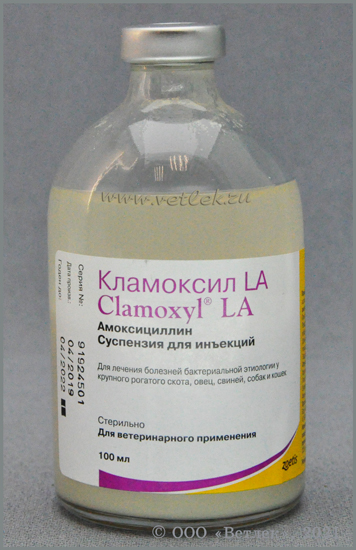 Clamoxyl  500 Mg -  4