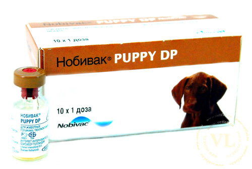 Нобивак Паппи DP (Nobivac Puppy DP), фл. 1 мл (1 доза) купить в  ветеринарном интернет-магазине Ветлек, купить в зоомагазине Ветлек в  Москве. Инструкция по применению . Цена в интернет-магазине 405 руб