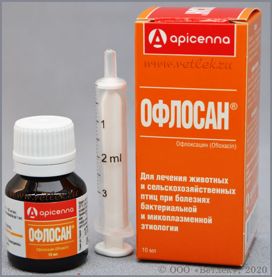 Лечение Кур Офлоксацином