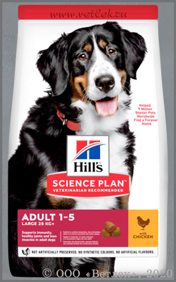 Hills Adult Large Breed
