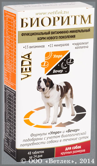 БИОРИТМ витаминно-минеральный корм для собак крупных пород, уп. 48 таб.  купить в ветеринарном интернет-магазине Ветлек, купить в зоомагазине  Ветлек в Москве. Инструкция по применению . Цена в интернет-магазине 211  руб