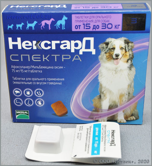 НексгарД Спектра L жевательные таблетки для собак от 15 до 30 кг, уп. 3 таб  купить в ветеринарном интернет-магазине Ветлек, купить в зоомагазине  Ветлек в Москве. Инструкция по применению . Цена в