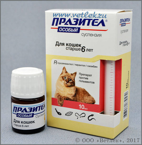 Празител Особый суспензия для кошек, фл. 10 мл купить в ветеринарном  интернет-магазине Ветлек, купить в зоомагазине Ветлек в Москве.  Инструкция по применению . Цена в интернет-магазине 280 руб