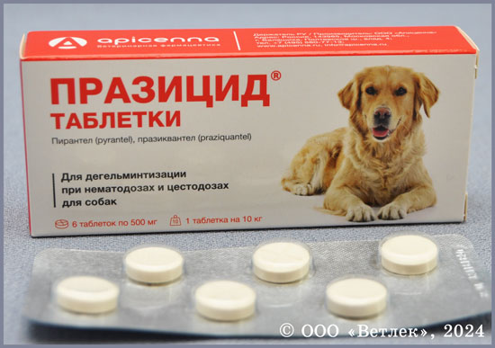 Празицид для собак, уп. 6 таб. купить в ветеринарном интернет-магазине ...