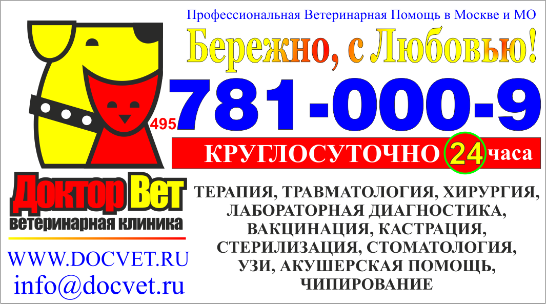 495 781. Ветеринарная клиника на Дыбенко. Ветклиника логотип. Какой номер у ветеринара. Ветеринарная клиника Волгодонск.