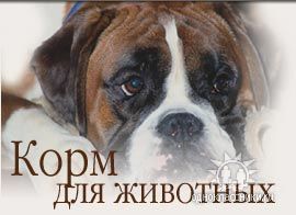 OOO "ЗооВет"