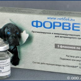 форвет лечение коронавируса форвет лечение коронавируса