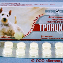 Способы убедить кошку принять Тронцил-К
