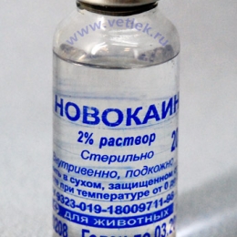 Гелевые Капли Маркова Купить В Ярославле